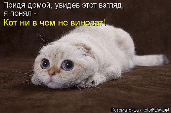 Солянка от 09.12.2018