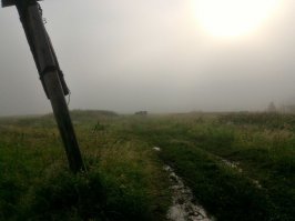 Чё то в деревню захотелось...