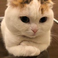 Прикольные и смешные картинки
