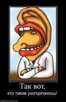 Зачем угорь залез в нос этому тюленю?