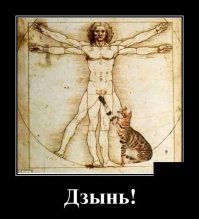 Кошачьи демотиваторы