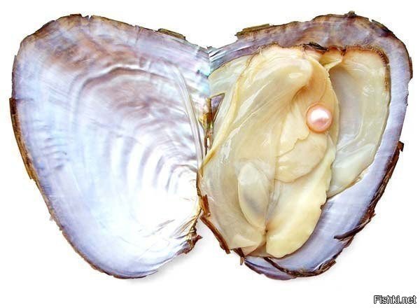 минусит тут одна дамочка......
неистово, самой первой...
ЗАХЛОПНИ МОГИЛКУ, ДОРОГАЯ - скажу я ей.....