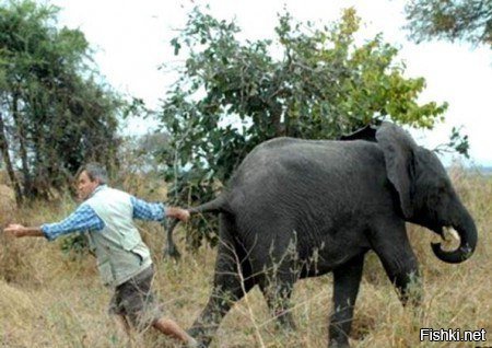 И х...як об дерево!