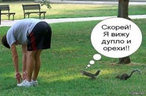 Фотограф 6 лет ловил в объектив белок, и собрал коллекцию чудесных снимков