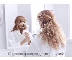 Прикольные и смешные картинки