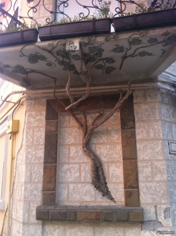 Солянка от 09.12.2018