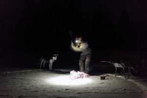 51 кг, хмм, ну это примерно 1 репортёр/фотограф в день...