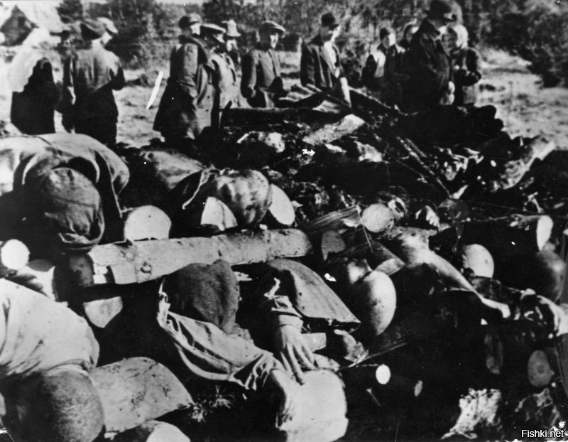 Болезнь надо лечить, пока она не зашла слишком далеко. Лучше нейтрализовать болезнь в начале, чем допустить такое, допустив к власти власовцев (ЗВЕРСТВА ФАШИЗМА - СЛАБОНЕРВНЫХ ПРОСЬБА НЕ СМОТРЕТЬ):