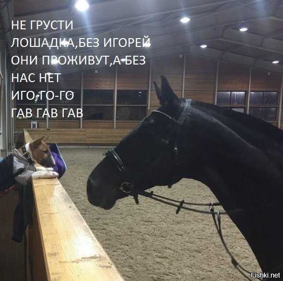 Солянка от 10.12.2018