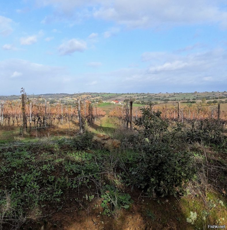 Я...с фото;)...Со ста шагов .., а то и более