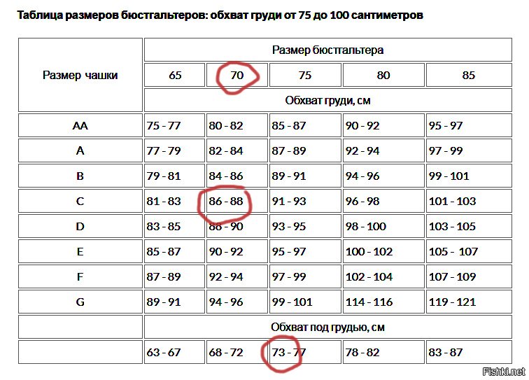 3 размер груди какой размер лифчика