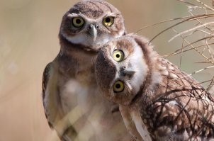 Я и мой брат-дебил )))