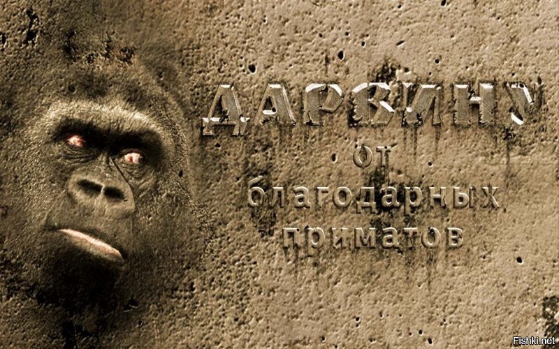 А это подпись под текстом.