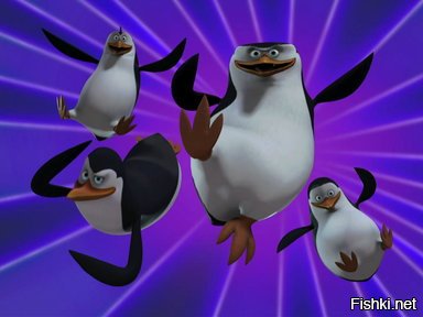 Солянка от 10.12.2018