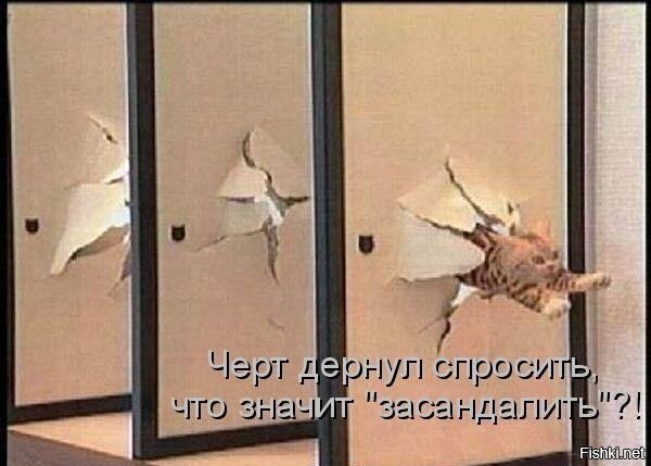 Солянка от 10.12.2018