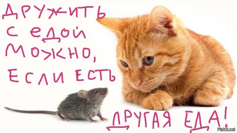 Дружба-она такая