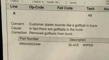 Апофеоз человеческой глупости.