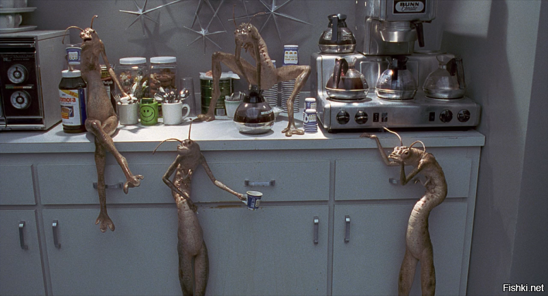 А на левой ветке сидит один из этих!