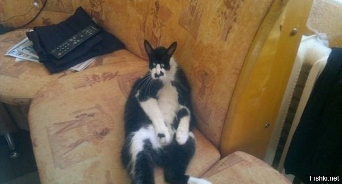 С понедельником