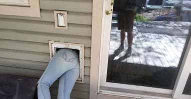 Необычные ловушки: гиф-пост для любителей наглядности