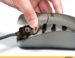 До лазера были шарики, а до шарика лапки..