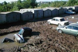 Отберите у них права немедленно!
