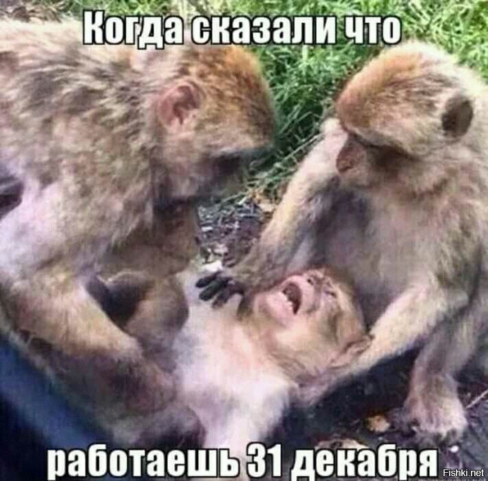 Солянка от 10.12.2018