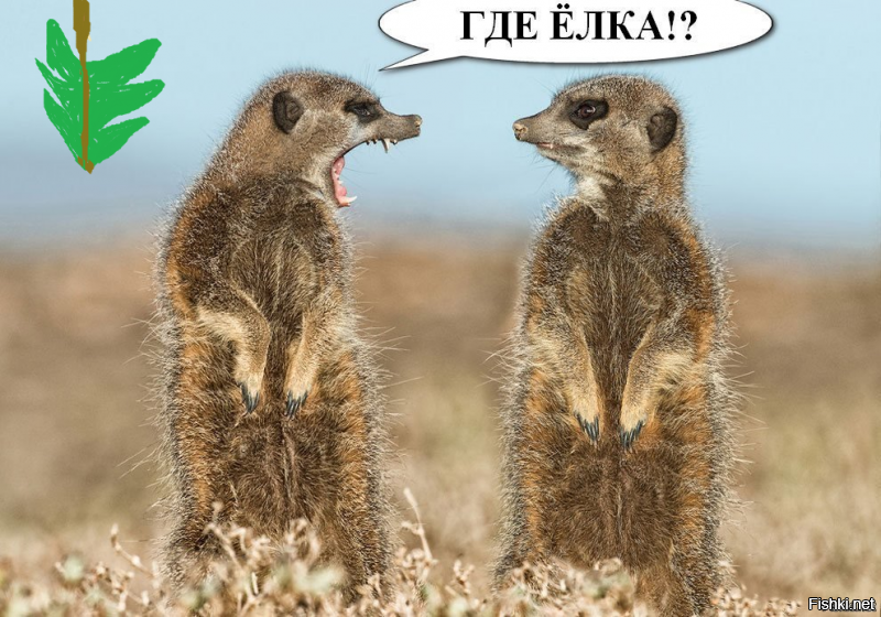 Солянка от 10.12.2018