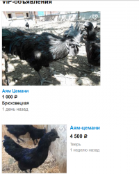 ну и где обещанные "тыщщи доларов"