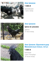 ну и где обещанные "тыщщи доларов"