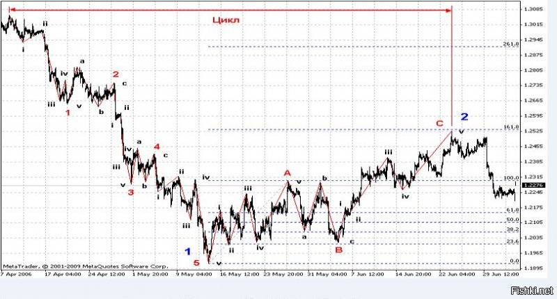 Волновая теория Эллиотта.
