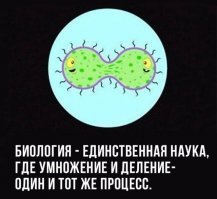 А яйца то тут при чём?