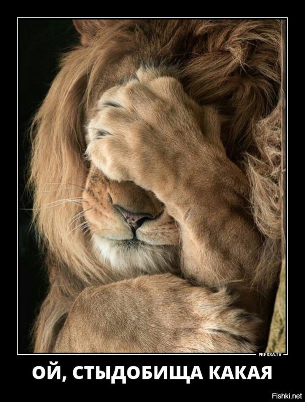 Солянка от 11.12.2018