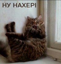 Обычные парни, умело маскирующие себя под девушек в Инстаграме