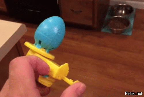 Солянка от 11.12.2018