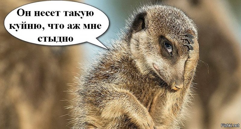 ​​до Нового года еще 3 недели, а нам уже приготовлены роскошные подарки: 