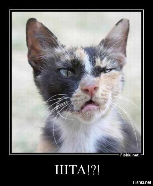 Солянка от 11.12.2018