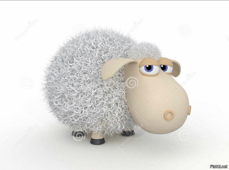 Только фото кисок не проси.Накидают,хрен заснёшь.