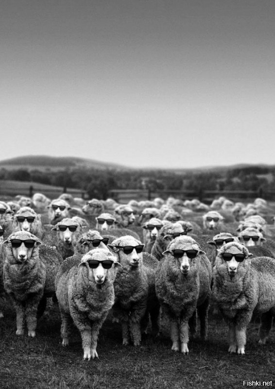 Солянка от 11.12.2018