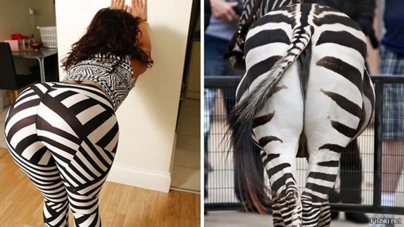 Солянка от 11.12.2018