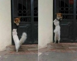 Эмоции и настроение в фотографиях