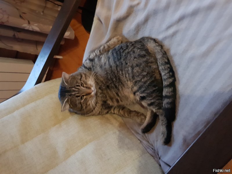 Солянка от 11.12.2018