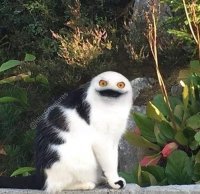 Девушка превращает питомцев в монстров при помощи фотошопа