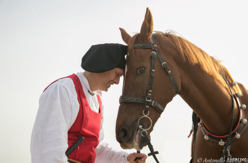 Как-то так! Телефон за кадром, конь и телефонист в кадре.