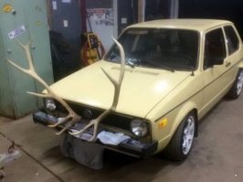 Ну ладно ещё - рога на багажнике на крыше, а вот за такое я бы прав лишал...