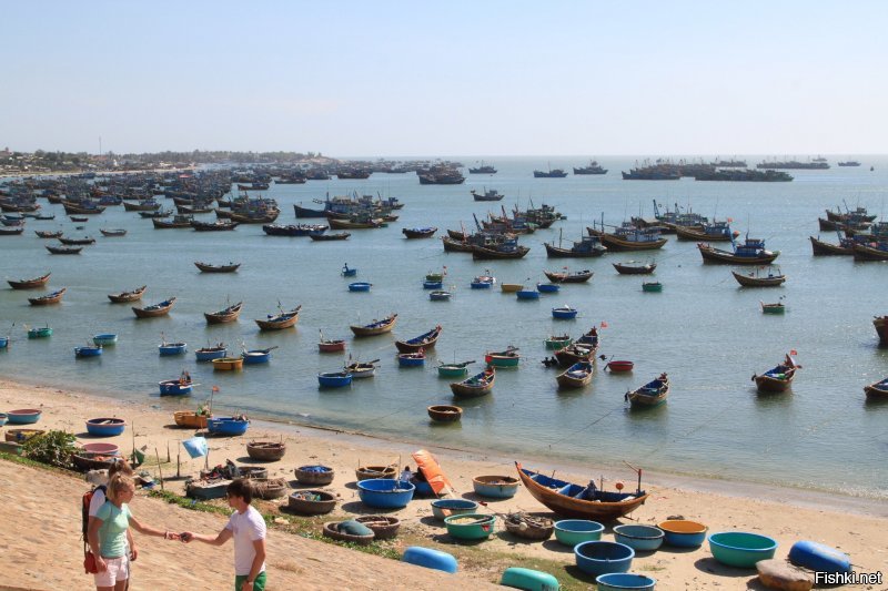 Солянка от 11.12.2018