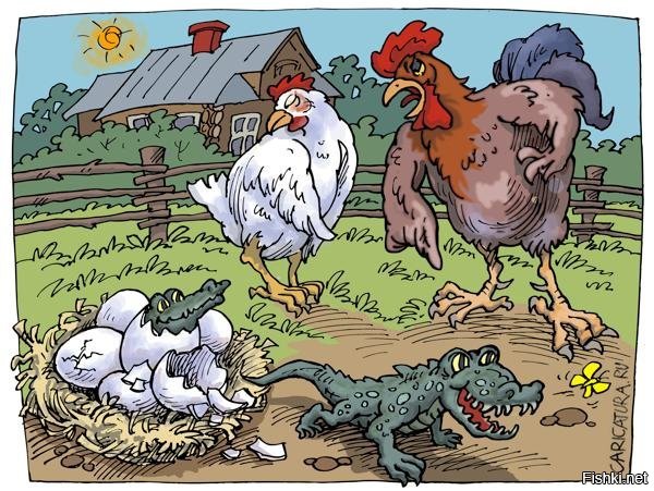 Махнем, не глядя?