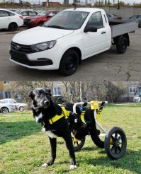 В сети появились фотографии LADA X-Ray пикап