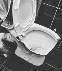 -Можно ли глотать бильярдные шары?
-Можно,  если не боитесь разбить унитаз!