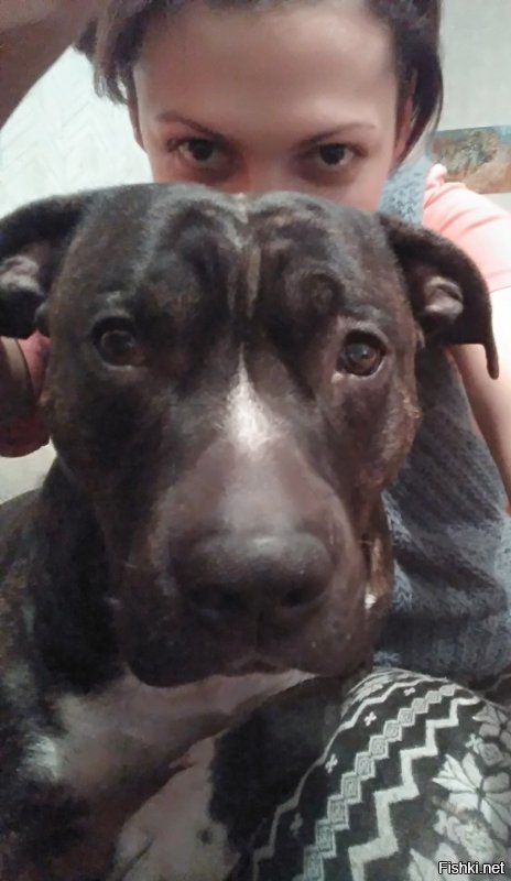 а это мой красавец )
(извините за качество)
от 4 недель до 3-х лет